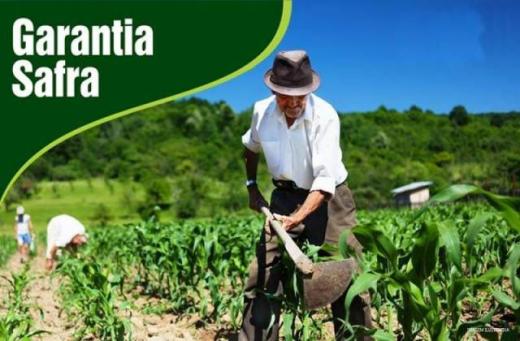 Santa Filomena: Calendário de entrega de boletos Garantia Safra 2020/2021