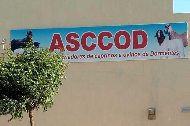 Associação de Criadores de Caprinos e Ovinos de Dormentes – PE