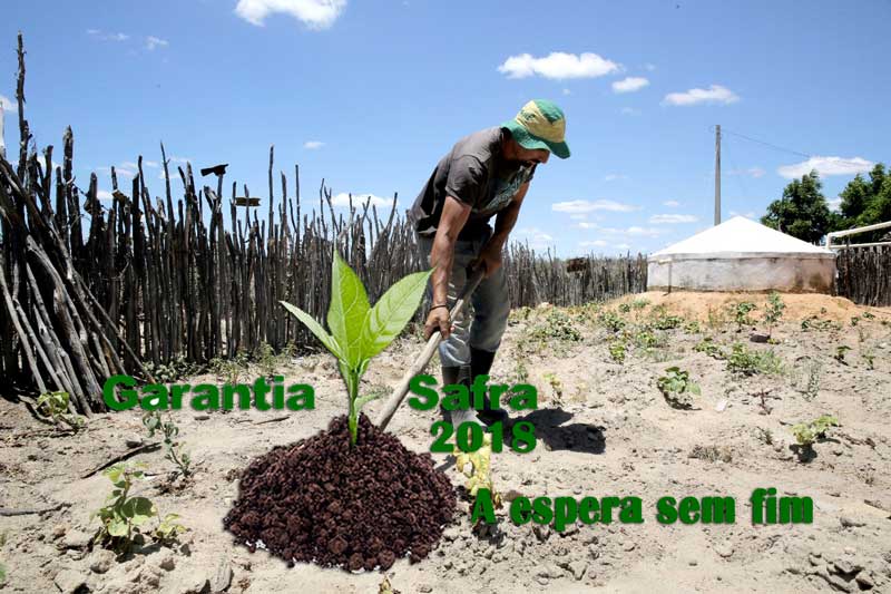 Garantia Safra 2018 a espera sem fim