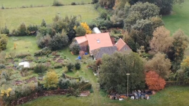fazenda holanda