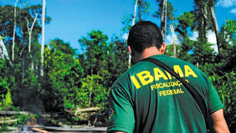 din1111 sustenta5