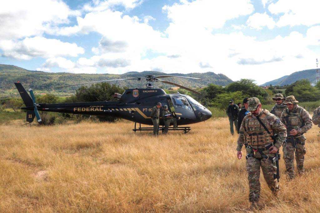 PF destrói mais de 538 mil pés de maconha no sertão de Pernambuco