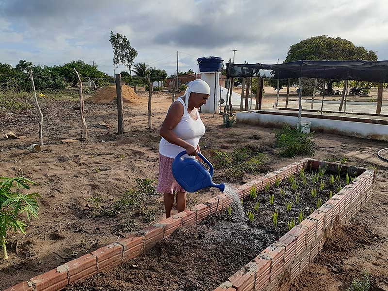 Agricultura familiar recebe apoio e incentiva a geração de emprego e renda de 131 famílias nas regiões do Araripe (PE) e Serra do Inácio (PI)