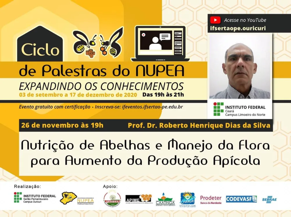 Palestra “Nutrição de Abelhas e Manejo da Flora para Aumento da Produção Apícola” vai ocorrer na próxima quinta-feira (26)