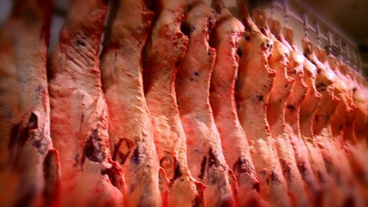Consumo de carnes no Brasil cresceu 32% em 25 anos, mas carne bovina caiu 24%
