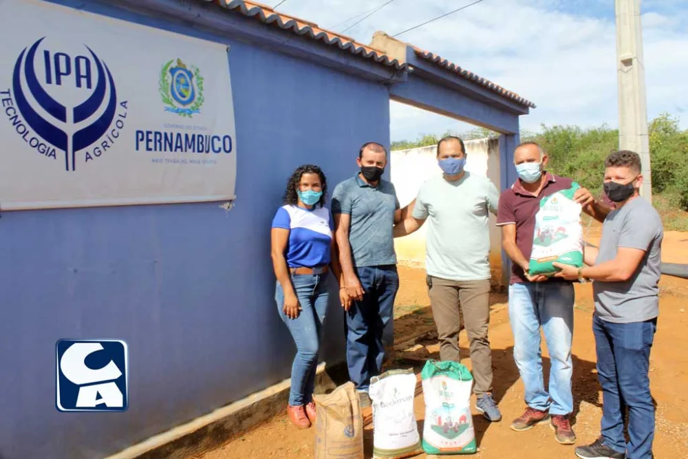 Santa Filomena recebe sementes de milho e sorgo para agricultores 2 Santa Filomena recebe sementes do Programa Campo Novo