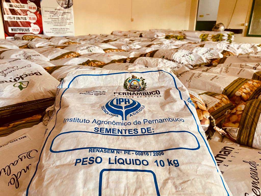 Dormentes recebe 16 toneladas de sementes de milho e sorgo destinadas aos agricultores 2 ENTREGA SEMENTES 1