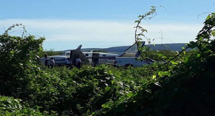 Avião que transportava vacinas contra a Covid-19 na Bahia se choca com Jumento na hora do pouso