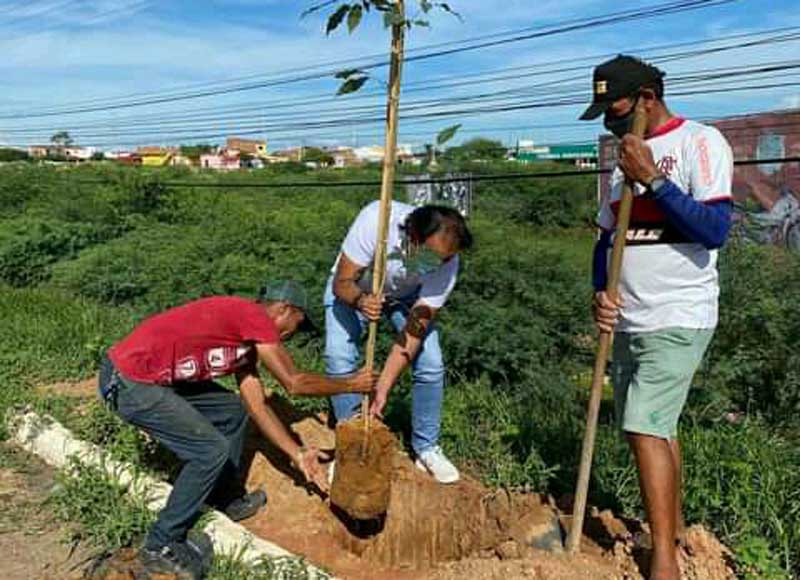Prefeito Ricardo Ramos planta árvores na entrada da cidade