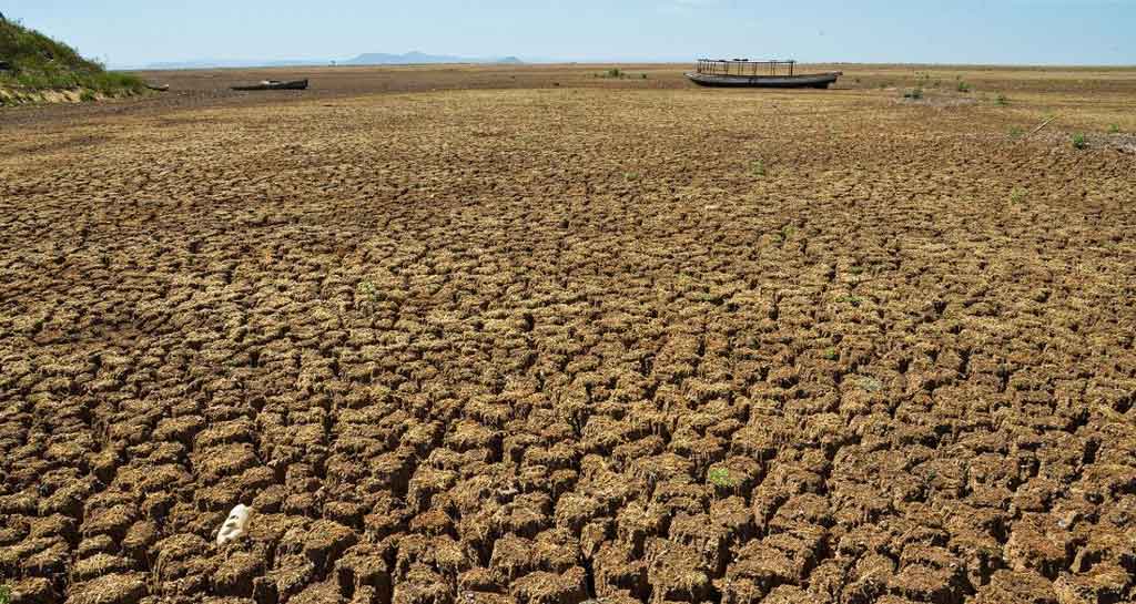 Pernambuco declara situação de emergência em 54 municípios do Sertão afetados por estiagem