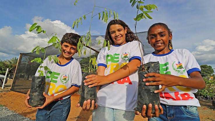 Petrolina se destaca em índice de sustentabilidade com melhor desempenho de Pernambuco