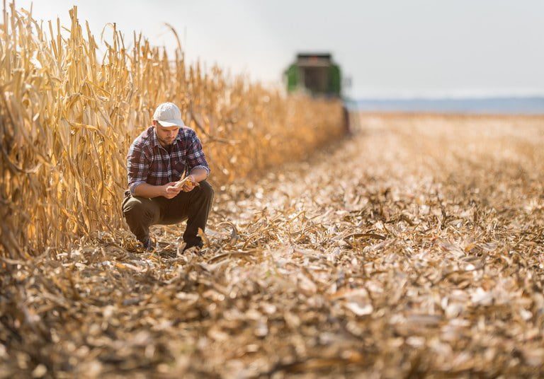 Garantia-Safra autoriza pagamento para mais de 13 mil agricultores familiares