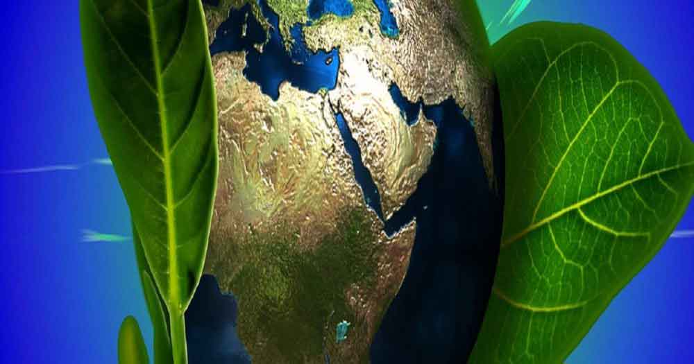 Dia do Meio Ambiente: Preservação ambiental