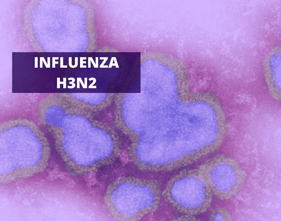 Santa Filomena confirma primeiro caso de H3N2; Prefeitura alerta população para tomar a vacina contra a Infruenza