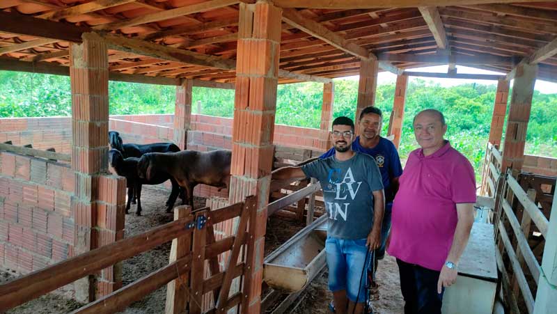 Prefeitura de Santa Filomena e Sebrae investem em inseminação artificial e transferência genética em ovinos e caprinos 4 Tanque Novo2