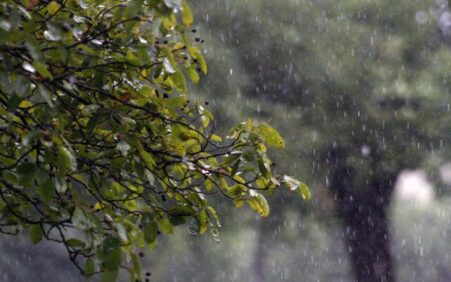 Volume de chuvas em pleno fim de maio é surpresa em Santa Filomena, PE