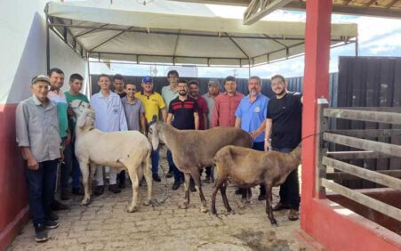 Projeto Berganês Solidário promove conservação, melhoramento e valorização do ovino…