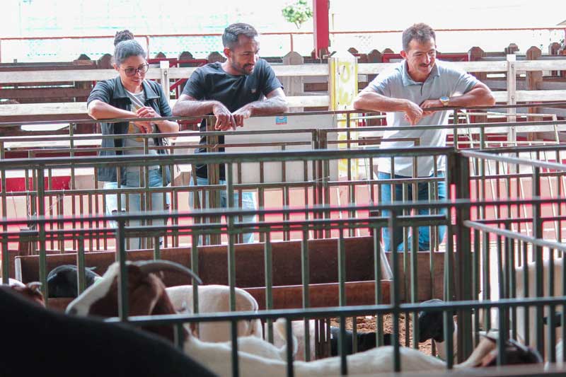 Caprishow 2022: Pesagem, baias cheias e início da comercialização de caprinos e ovinos marcam o 2° dia de feira 4 2o Dia 4