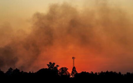 Ondas de calor extremas causarão mortes “em larga escala” nos…