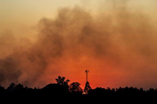 Ondas de calor extremas causarão mortes “em larga escala” nos próximos anos, diz ONU © Yuri Ferreira