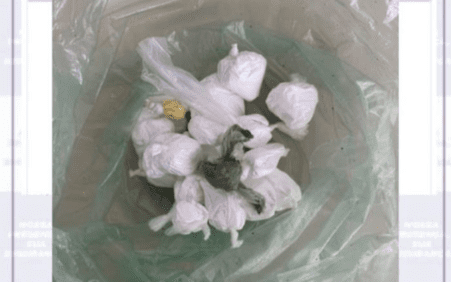 Suspeito Foge, mas Polícia Apreende Drogas em Santa Filomena