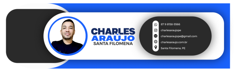 Eleições 2024: veja como consultar dados sobre os candidatos 2 ASSINATURA GRAFICO2 charlesaraujope 1