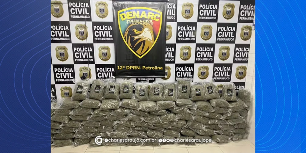 Polícia apreende 94 kg de "Maconha Chilena" avaliada em quase R$ 300 mil em Petrolina