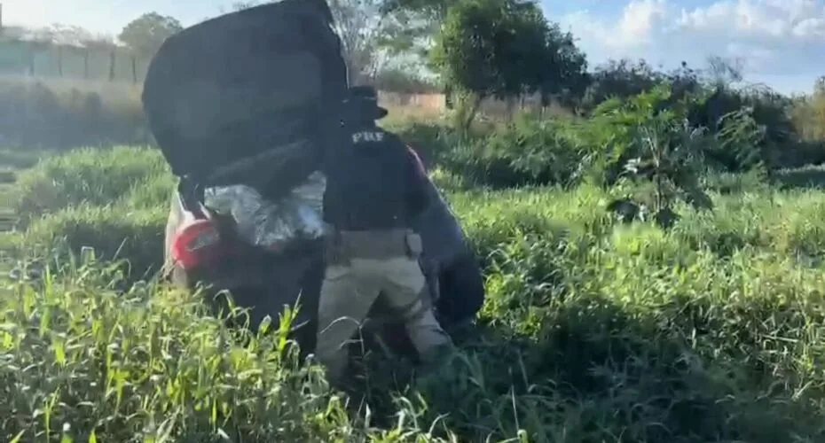 PRF apreende, no Sertão de Pernambuco, 21,8 KG de "supermaconha" após fuga de motorista