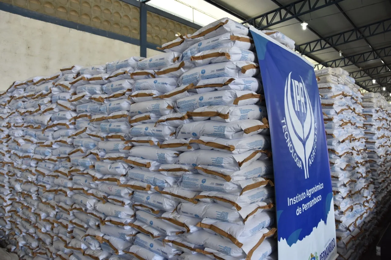 IPA inicia entrega de sementes de feijão, sorgo e milho no Sertão do Araripe 2 sementes 4