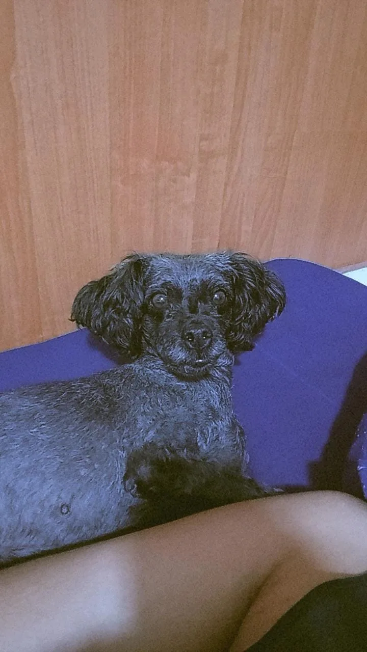 Priscila, melhor amiga—companheira de todas as horas e protetora incondicional 3 c0a8db8a a189 4582 b908 c56533f4ef78