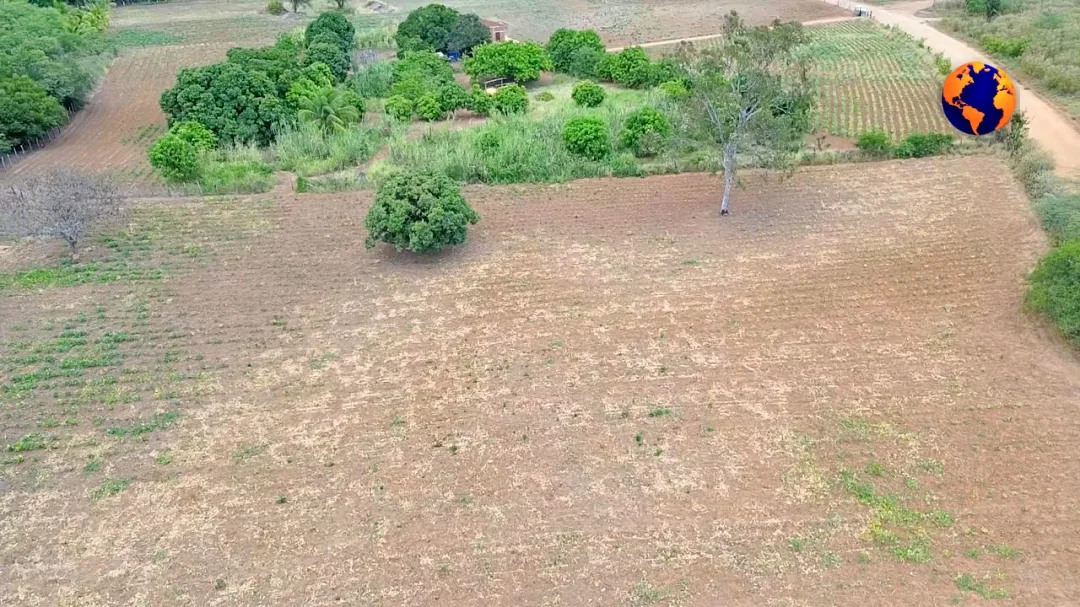 Sertão Pernambucano: O Clamor de um Povo Abandonado pela Chuva e pelo Poder Público; vídeo 2 batch Imagem do WhatsApp de 2025 03 10 as 11.45.39 f8d3620b