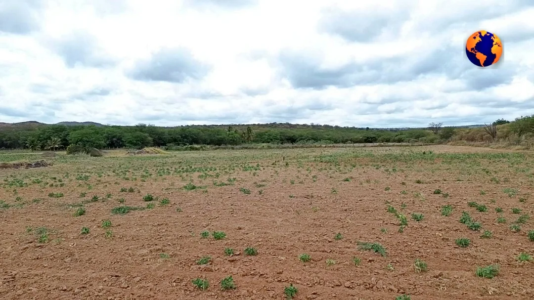 Sertão Pernambucano: O Clamor de um Povo Abandonado pela Chuva e pelo Poder Público; vídeo 3 batch Imagem do WhatsApp de 2025 03 10 as 11.45.40 7dddbce2