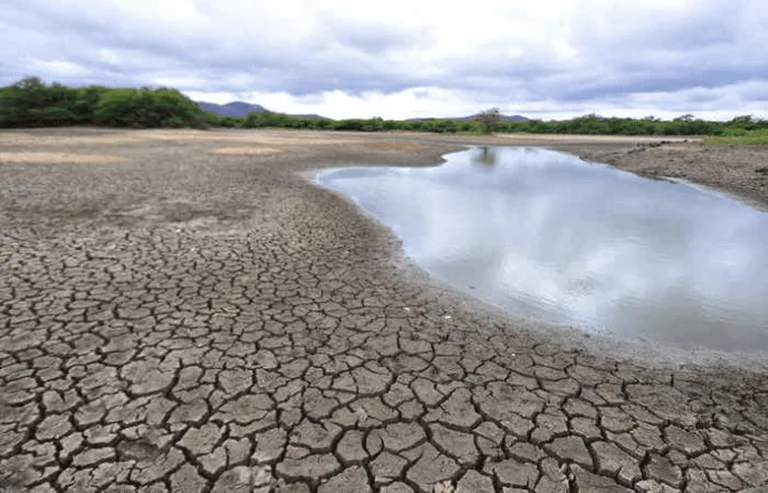 Estiagem: MIDR reconhece emergência em 79 cidades de PE, incluindo Santa Filomena