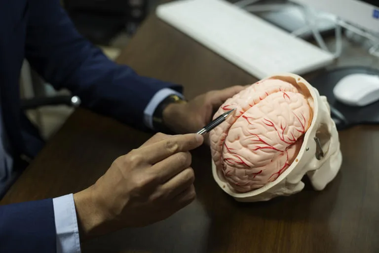 O consumo regular de álcool, mesmo em níveis considerados leves a moderados, pode acelerar o envelhecimento do cérebro e afetar negativamente a flexibilidade comportamental — e esses efeitos já são perceptíveis entre adultos jovens, com idades entre 20 e 30 anos. Essa é a conclusão de um estudo inovador publicado na revista Alcohol: Clinical and Experimental Research, conduzido por pesquisadores da Universidade da Carolina do Norte, nos Estados Unidos. A pesquisa utilizou uma abordagem inédita, combinando exames de ressonância magnética cerebral com ferramentas de aprendizado de máquina (machine learning) para estimar o envelhecimento cerebral em adultos que relataram diferentes padrões de consumo de álcool. Os resultados reforçam a crescente evidência de que o álcool tem um impacto direto e precoce na estrutura e no funcionamento do cérebro, podendo antecipar o surgimento de déficits cognitivos típicos do envelhecimento.