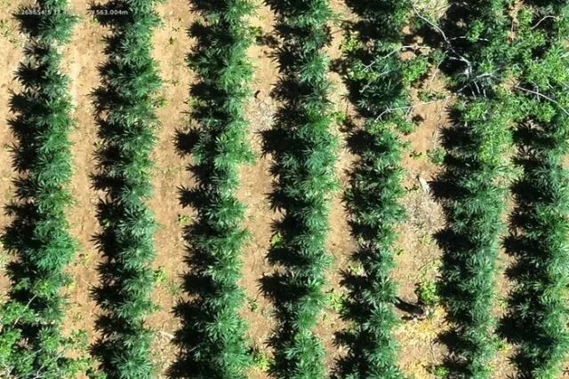 1 640x427 1